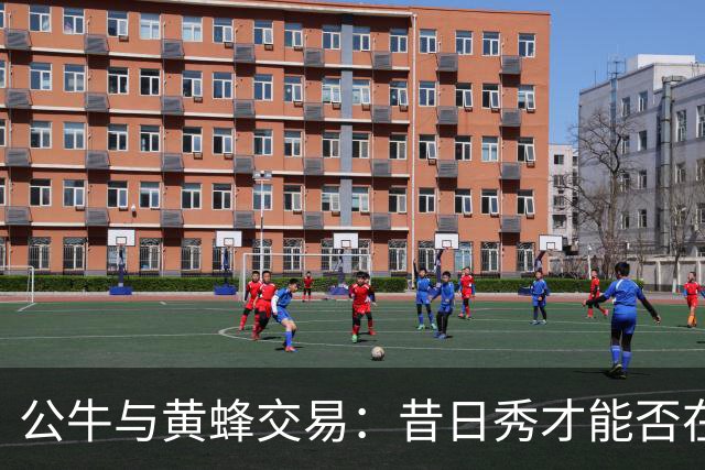 公牛与黄蜂交易：昔日秀才能否在新环境中绽放光彩？