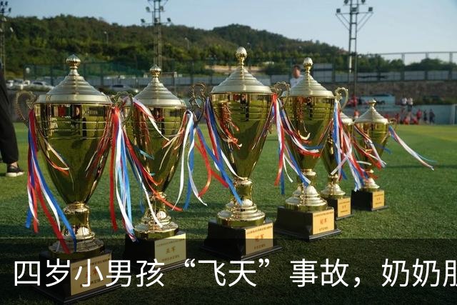 四岁小男孩“飞天”事故，奶奶朋友赔了大笔钱