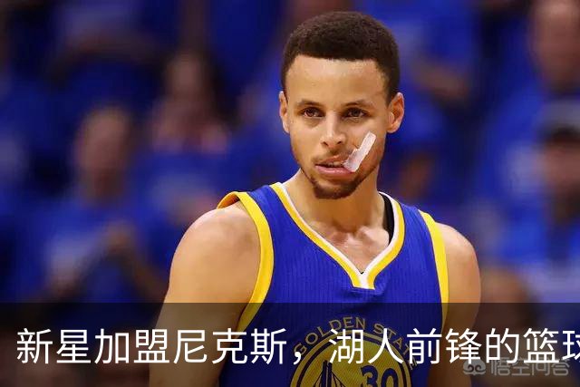 新星加盟尼克斯，湖人前锋的篮球奇遇记！